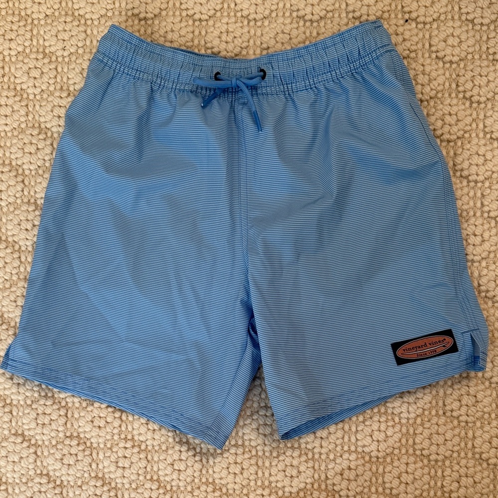 Brand New Vineyard Vines Boys Blue Striped Swim Trunks